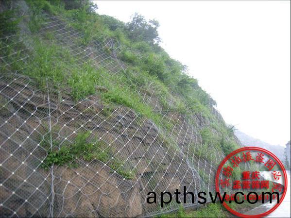 SNS主動(dong)防(fang)護網
